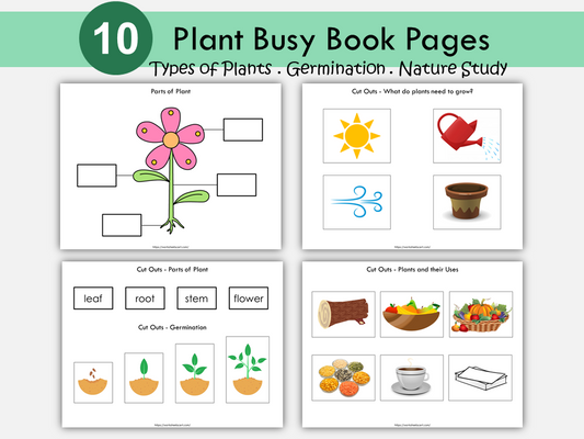 Parts of a Plant, Types of Plant Busy Book, Plant Unit Printable, Toddler Activities , Kids Learning Folder, Kindergarten, Grade 1 Science, WWF145