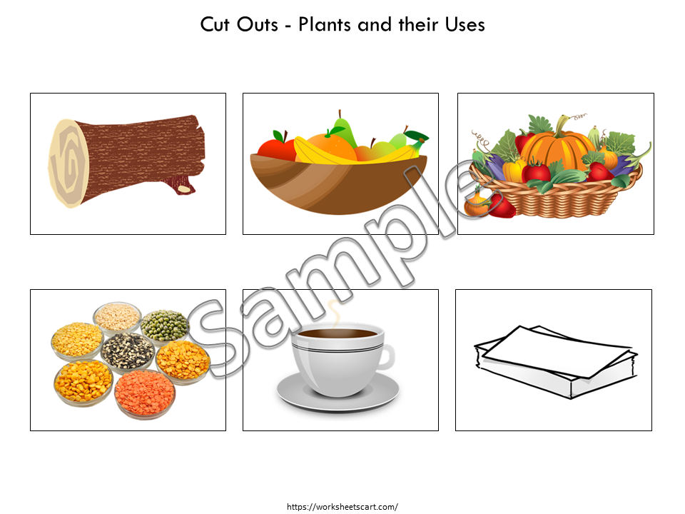 Parts of a Plant, Types of Plant Busy Book, Plant Unit Printable, Toddler Activities , Kids Learning Folder, Kindergarten, Grade 1 Science, WWF145