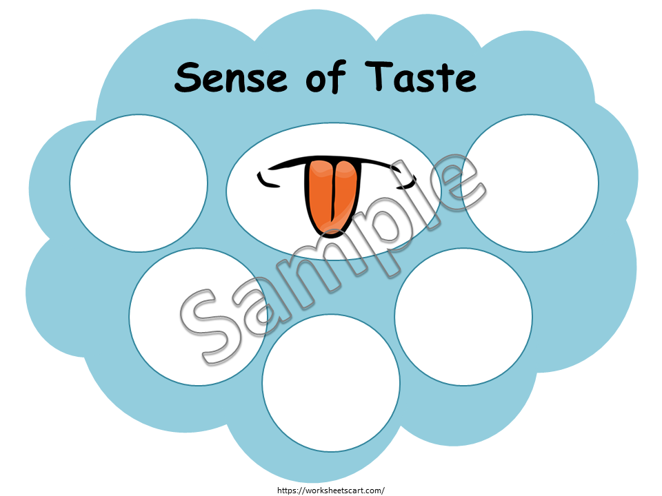 Five Senses Sorting Activity, Senses Matching Worksheet, Toddler Busy Book, Preschool, Kindergarten Human Body Activity Sheets, Homeschool, WWF252