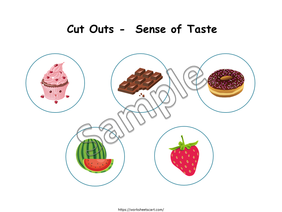 Five Senses Sorting Activity, Senses Matching Worksheet, Toddler Busy Book, Preschool, Kindergarten Human Body Activity Sheets, Homeschool, WWF252