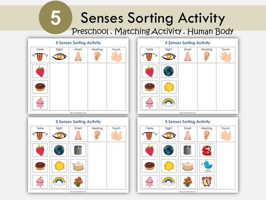 Five Senses Sorting Activity Printable | Preschool Science Center | Sensory Learning Cards for Kids | Homeschool Five Senses Worksheets, WWF253