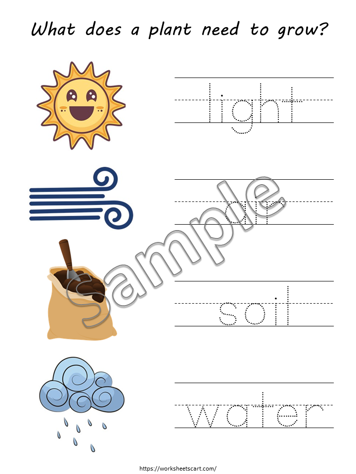 Plant Needs Worksheets, Germination, Plant Unit for Kids, What Do Plants Need to Grow, Kindergarten, Homeschool, Teacher Resource, WWF442