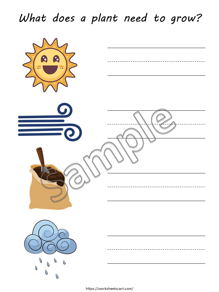 Plant Needs Worksheets, Germination, Plant Unit for Kids, What Do Plants Need to Grow, Kindergarten, Homeschool, Teacher Resource, WWF442