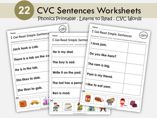 CVC Words, CVC Sentences Worksheets, Reading Simple CVC Sentences, Phonics Book, Kindergarten Activity, First Grade Resources, Homeschool, WWF241