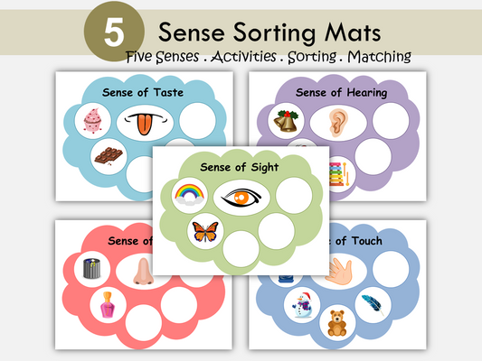 Five Senses Sorting Activity, Senses Matching Worksheet, Toddler Busy Book, Preschool, Kindergarten Human Body Activity Sheets, Homeschool, WWF252