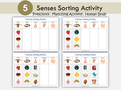 Five Senses Sorting Activity, 5 Senses Classification Mat, Preschool Printable, Human Body Worksheets, Toddler Busy Book Pages, Homeschool, WWF253