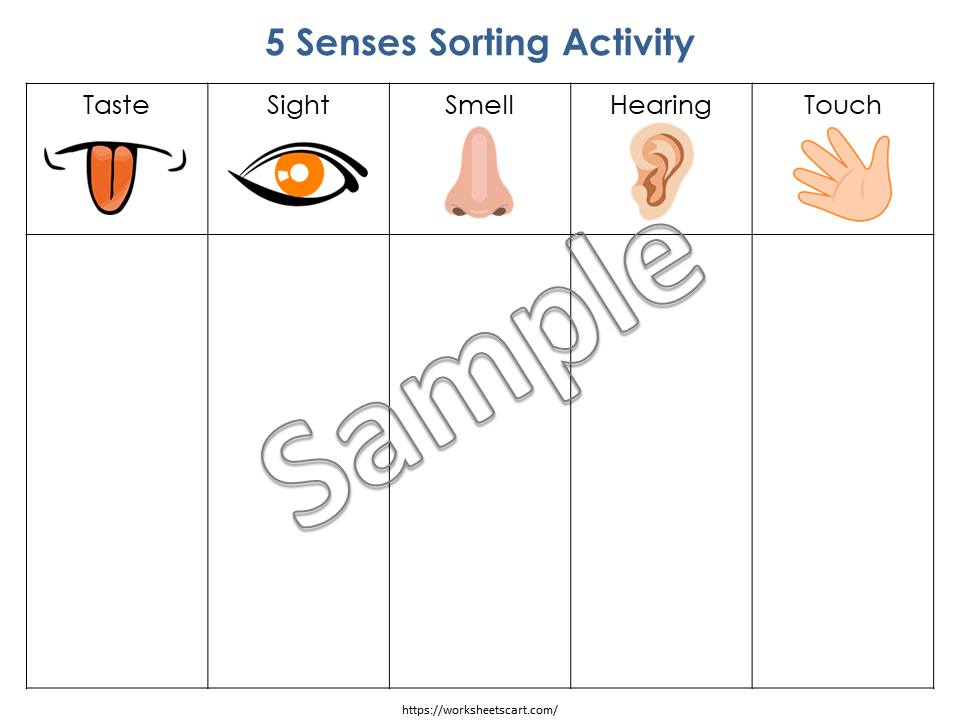 Five Senses Sorting Activity, 5 Senses Classification Mat, Preschool Printable, Human Body Worksheets, Toddler Busy Book Pages, Homeschool, WWF253