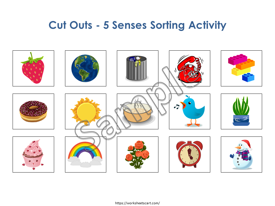 Five Senses Sorting Activity, 5 Senses Classification Mat, Preschool Printable, Human Body Worksheets, Toddler Busy Book Pages, Homeschool, WWF253