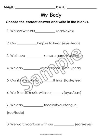 Body Parts Worksheets, Preschool Printable, Kindergarten Human Body Worksheets, All About My Body Activity, Toddlers Busy Binder, Homeschool, WWF279