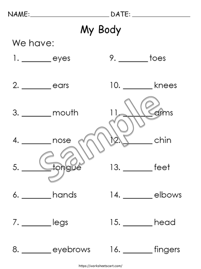 Body Parts Worksheets, Preschool Printable, Kindergarten Human Body Worksheets, All About My Body Activity, Toddlers Busy Binder, Homeschool, WWF279