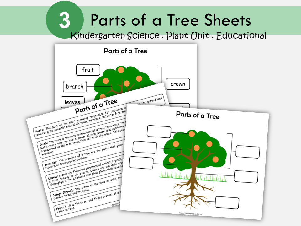 Tree Doctor Kit Worksheet Parts of a Tree, Basic Anatomy of a Tree, Tree Unit Study, Kindergarte ...