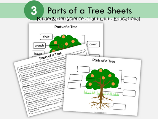 Parts of a Tree, Basic Anatomy of a Tree, Tree Unit Study, Kindergarten Science, Preschool Printable, Nature Study, Homeschool, WWF292