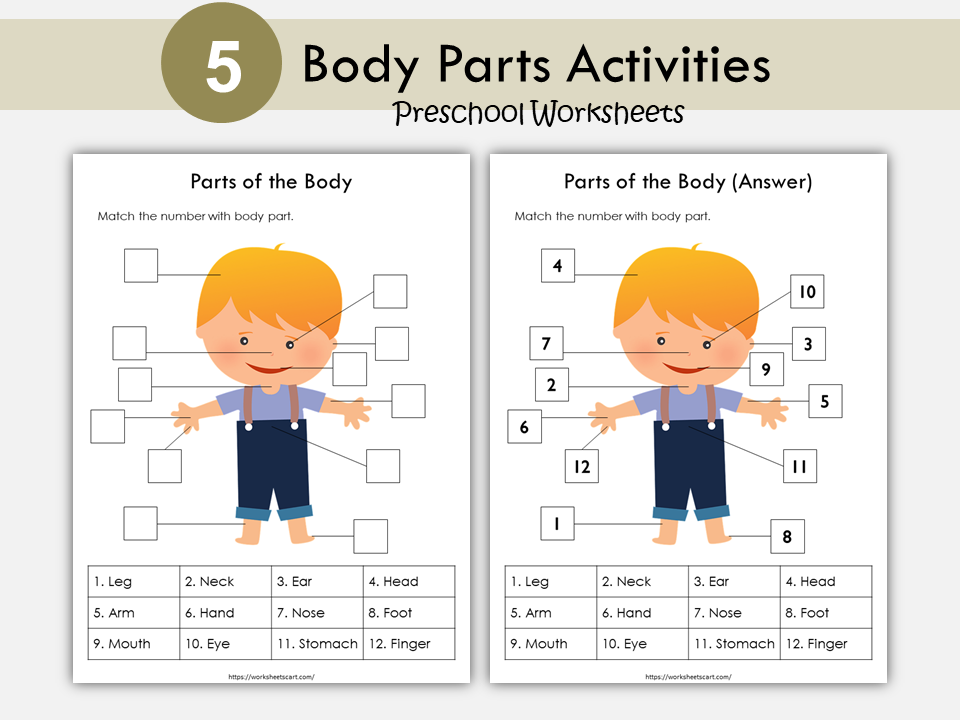 Body Parts Matching Activity Printable, Human Body Parts for Kids, Toddler Busy Book Pages, Learning Binder, Homeschool Resource