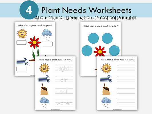 Plant Needs Worksheets, Germination, Plant Unit for Kids, What Do Plants Need to Grow, Kindergarten, Homeschool, Teacher Resource, WWF442